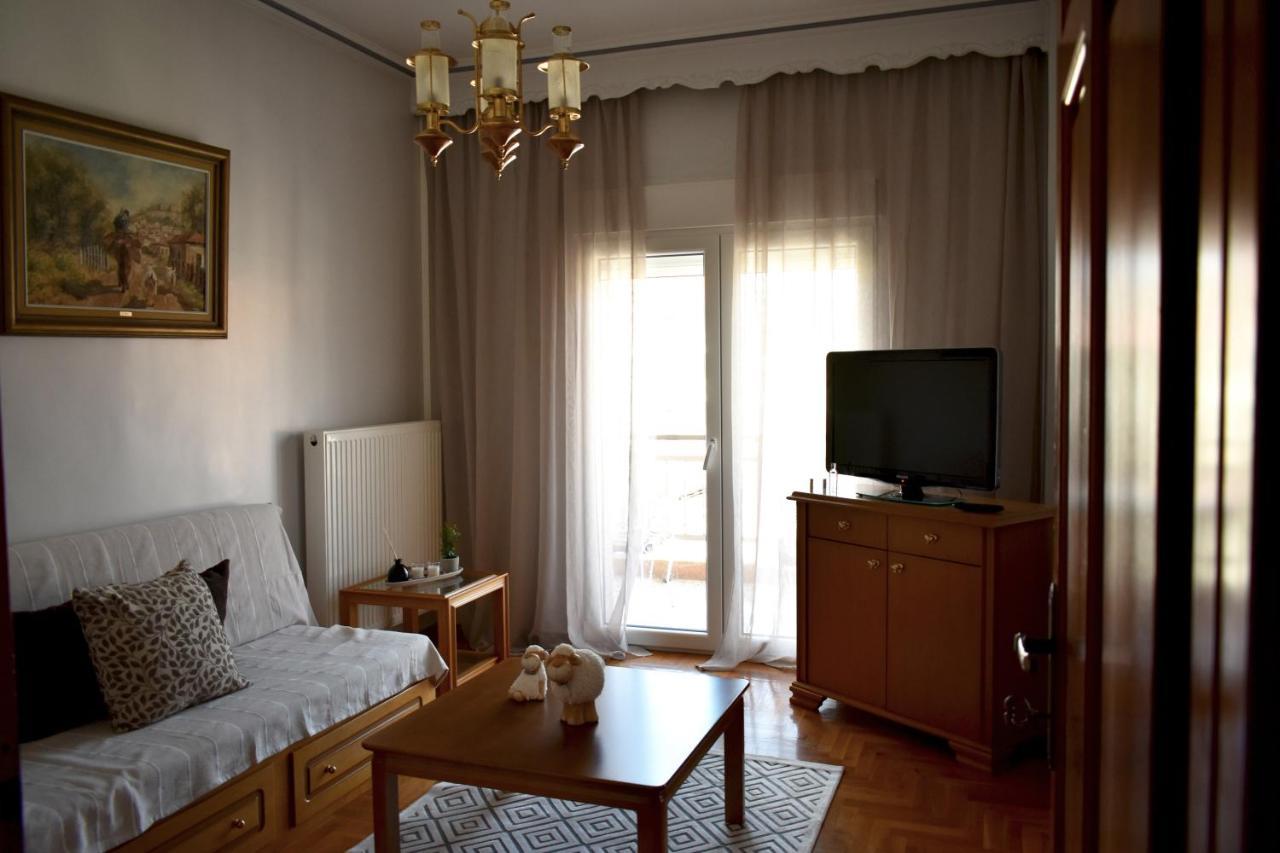 Κεντρικό Και Ευρύχωρο Οροφοδιαμέρισμα 卡斯托里亚 外观 照片