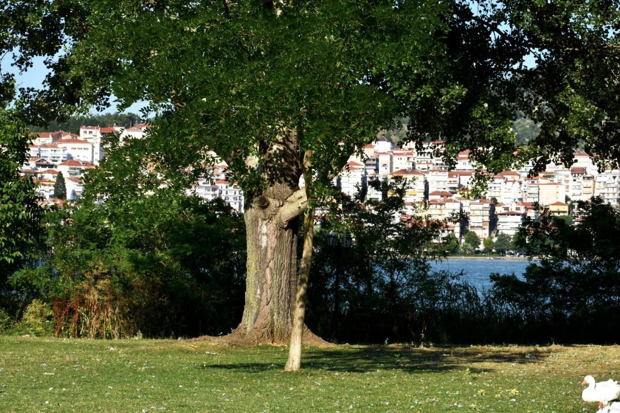 Κεντρικό Και Ευρύχωρο Οροφοδιαμέρισμα 卡斯托里亚 外观 照片